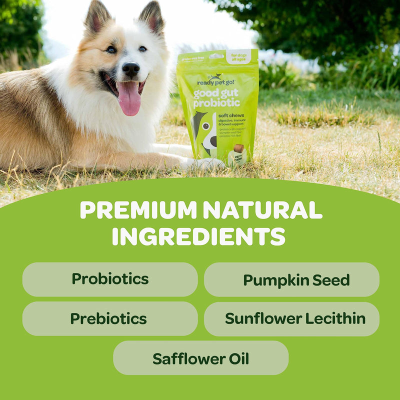 Probiotic Chews for Dogs Gut Health | Tasty Pre and Probiotics for Dogs Digestive Health with Pumpkin Dog Probiotics and Digestive Enzymes | NASC Certified & Made in The USA | 90 Chews 90 Count (Pack of 1) - PawsPlanet Australia