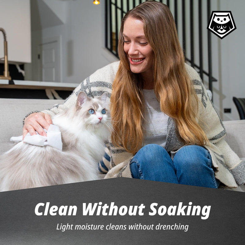 Cat Cleaning Wipes – Catnip-Infused, Fragrance-Free Grooming Wipes Made with Food-Grade Formula, Helps Reduce Plaque & Gently Clean Fur, Paws, & Teeth, 100 Count