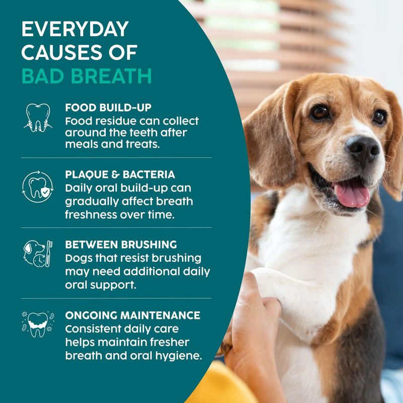 Dog Breath Freshener 500ml – Herbal Dental Water Additive for Dogs with Sage, Peppermint & Parsley, Daily Oral Care & Fresh Breath Support for Dogs