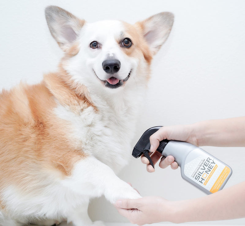 Absorbine Silver Honey Hot Spot & Wound Care Spray Gel for Dogs, Cats, Small Animals, 8oz Bottle - PawsPlanet Australia