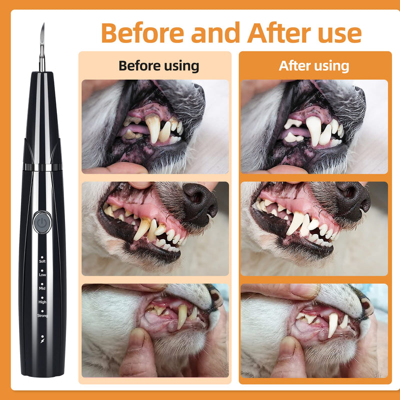 Dog Plaque and Tartar Remover for Teeth, Ultrasonic Pet Tooth Cleaner, Electric Teeth Cleaning Kit for Dogs and Cats, 5 Modes, LED Light, 3 Cleaning Heads, Rechargeable - BeesActive Australia