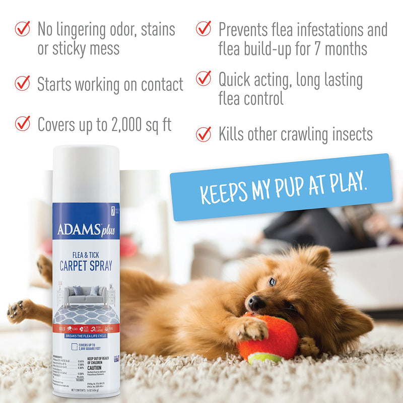 Adams Plus Carpet Spray + Flea & Tick Dog Collar