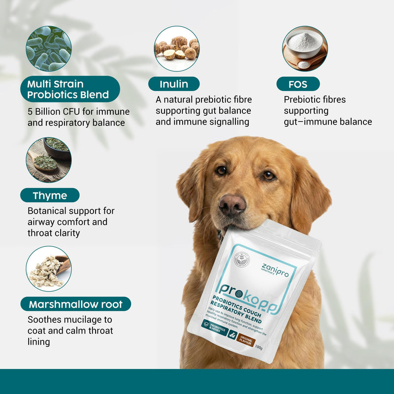 Respiratory & Gut Probiotic Powder for Dogs & Cats, 5 Billion CFU - 100g, Kennel Cough Medicine for Dogs, Lung, Immune & Breath Treatment, Dog Breath Freshener with Marshmallow Root & Thyme
