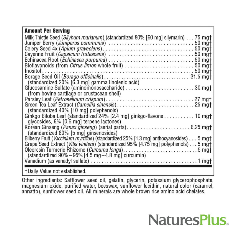 NaturesPlus Regeneration - 90 Softgels - Multi-Vitamin & Mineral Supplement with Botanical Extracts & Antioxidants - Gluten Free - 30 Total Servings 90 Count (Pack of 1)