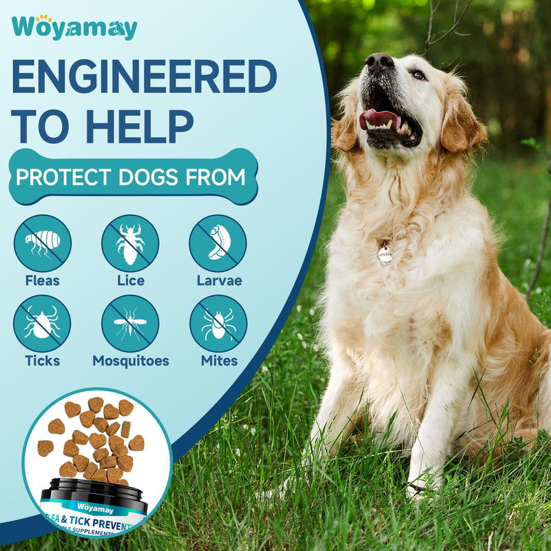 Woyamay Dog Flea Care Bundle – Flea Prevention Soft Chews + Flea & Itch Relief Chews, Skin, Coat & Immune Support, Anti-Itch, Daily Oral Flea Treatment for Dogs