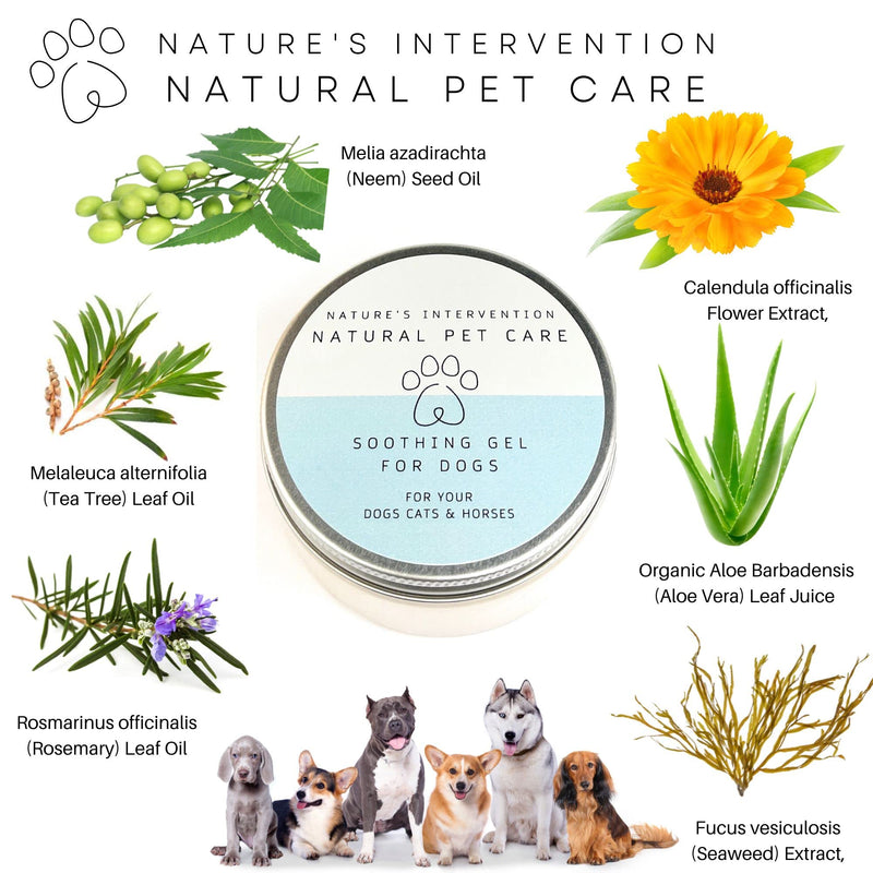 NATURE'S INTERVENTION Soothing Aloe Gel for Dogs – Nourishing Botanical Formula to Soothe Dry Skin – Aloin-Free Aloe Vera & Neem - 99% Natural Origin - 100g
