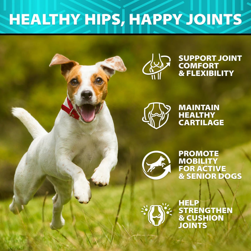 Glucosamine for Dogs - Hip and Joint Supplement for Mobility, Cartilage Health - 30,000 mg per Pack - w/ Omega-3 Fish Oil, Chondroitin, MSM - Dog Glucosamine Chews - Ideal for Senior Dogs - 120 Treats 7.9 OZ
