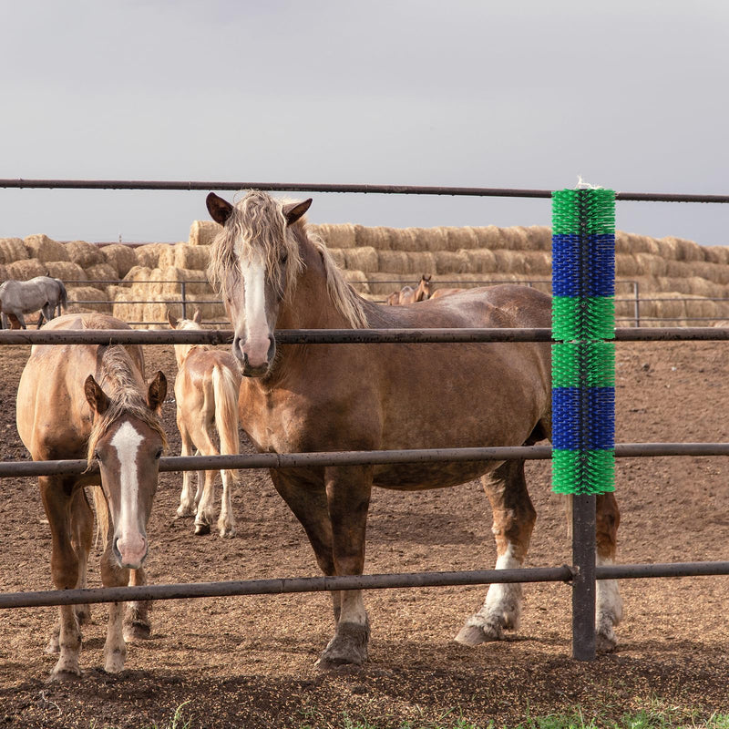 Livestock Scratching Brush, 17.5 x 7.8 Inch Goat Brushes for Grooming, Horse Brushes for Shedding, Livestock Brush with 4 Screws Great for Horse, Elk, Cattle, Pig, Sheep（Green） GREEN-1PCS - BeesActive Australia