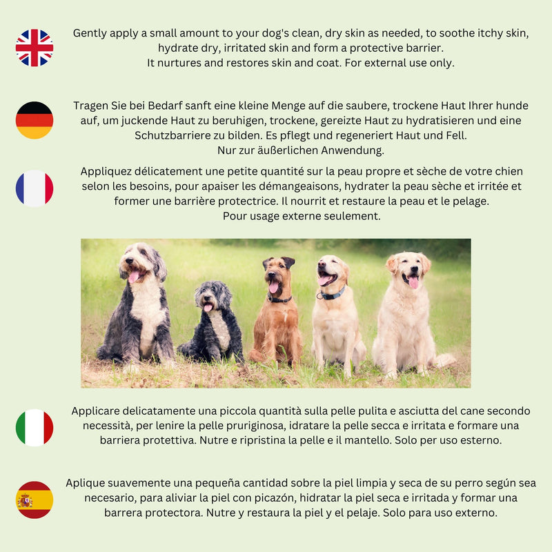 NATURE'S INTERVENTION 100% Natural Soothing Balm for Dogs – 50ml – Beeswax, Shea & Lavender – Protective Paw, Nose & Skin Butter – Lick-Safe & Non-Toxic