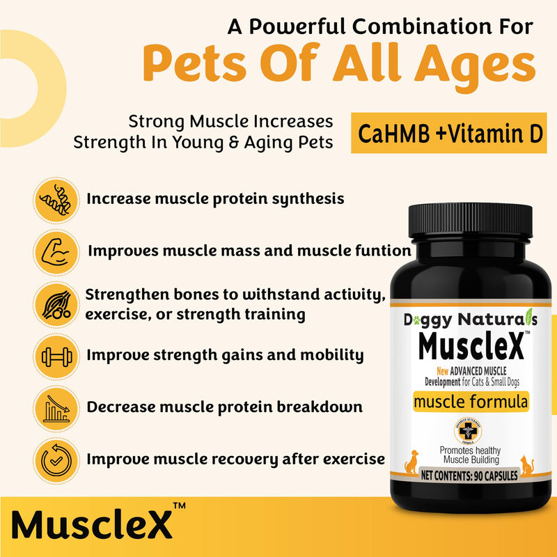 MuscleX™ Feline Canine Muscle Formula Cats & Small Dogs with 300 mg CaHMB & Vitamin D3, Natural Muscl Building formula - Helps Reduce Muscle Loss Due to Normal Aging & Improve Injury Recovery(90 Caps)