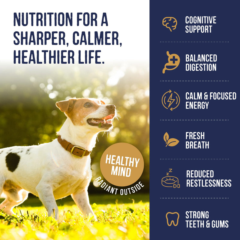 Harley & Marley Cognitive Duo Function Health Chews for Dogs - Brain Support with Carrot, Seaweed, Vitamin B6 & Kale - Supports Cognitive Function, Healthy Teeth & Gums - 4pk (4/pk) Pack of 4