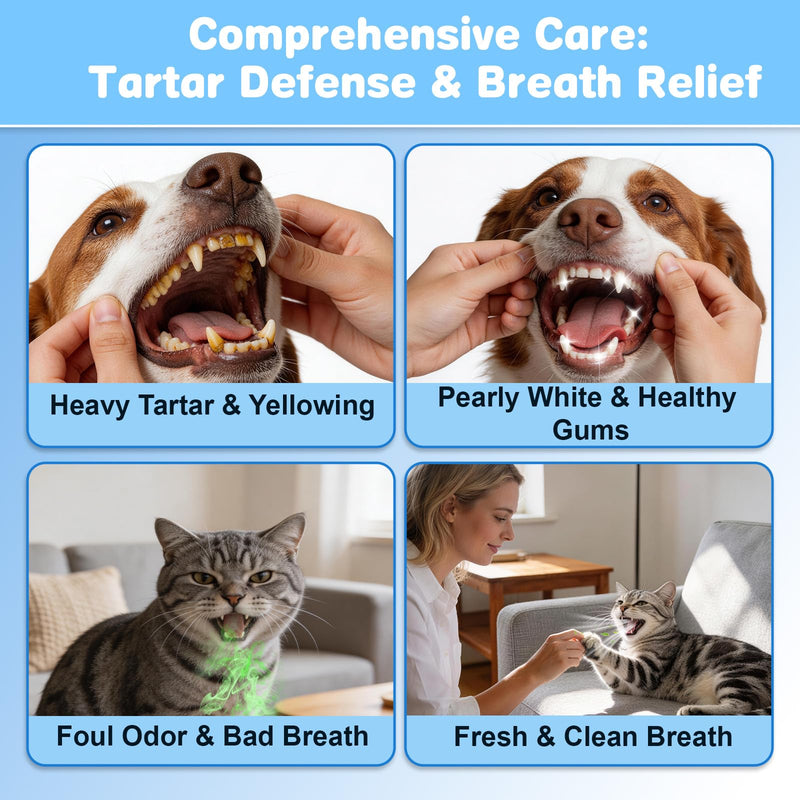 Dog & Cat Oral Care Bundle – Dental Water & Pet Cleaning Gloves Set for Daily Mouth Freshness & Gentle Grooming