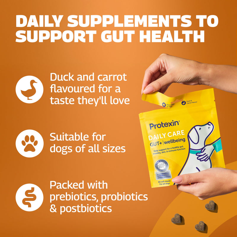 Protexin Daily Care Gut+ Wellbeing – Probiotic, Prebiotic & Postbiotic Chews for Dogs – Supports Gut Balance, Skin, Mobility & Immune Health – Duck & Carrot Flavour – 60 Soft Chews