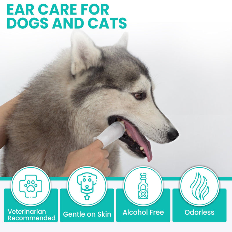Dog Dental Wipes – 60 Count Natural Pet Dental Finger Wipes for Dogs, Cats – Odorless and Safe Dog and Cat Teeth Cleaning Wipes – Dental Wipes for Dogs Teeth Supports Dental Care, Gum Care - BeesActive Australia