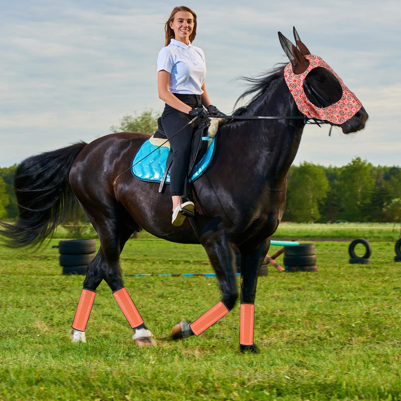 10 Pcs Horse Mask Boots for Horses Set Horse Supplies 8 Pcs Breathable Horse Leg Wraps 2 Pcs Comfort Elasticity Mask for Preventing Scratches Reduce Stomping Leg Fatigue Medium - BeesActive Australia