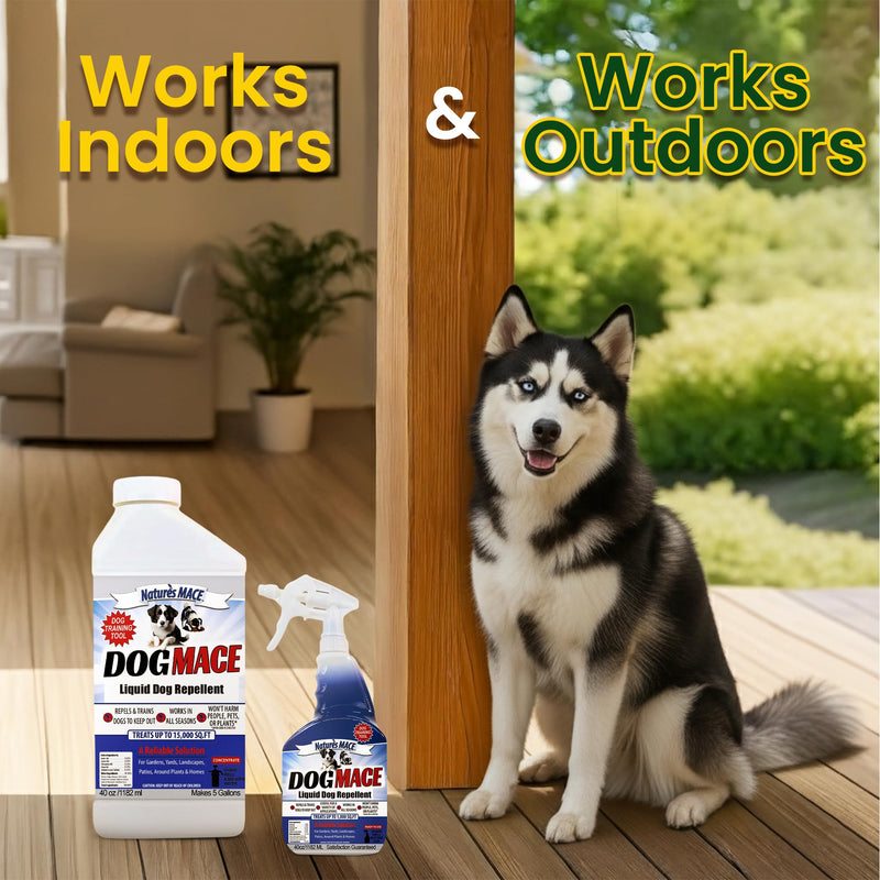 Dog Mace Repellent - 6lbs Granules + 40oz Spray