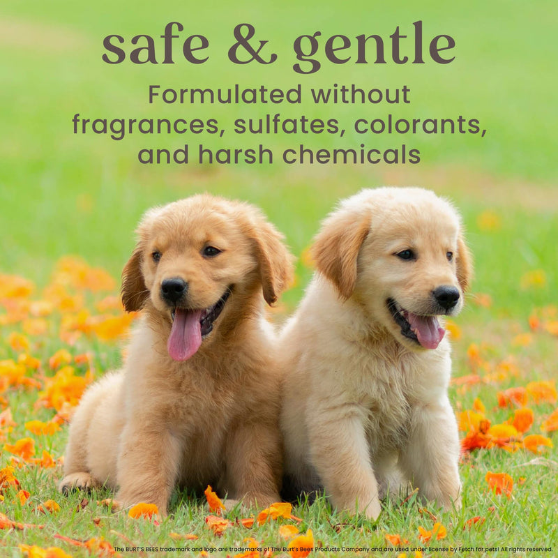 Burt's Bees for Pets Itch Soothing Shampoo with Honeysuckle, 95% Natural Origin Formulas, Dog Shampoo for Itchy Dogs, Dog Shampoo Itchy Skin Relief, 16 oz Unscented 16 Fl Oz (Pack of 1) - PawsPlanet Australia