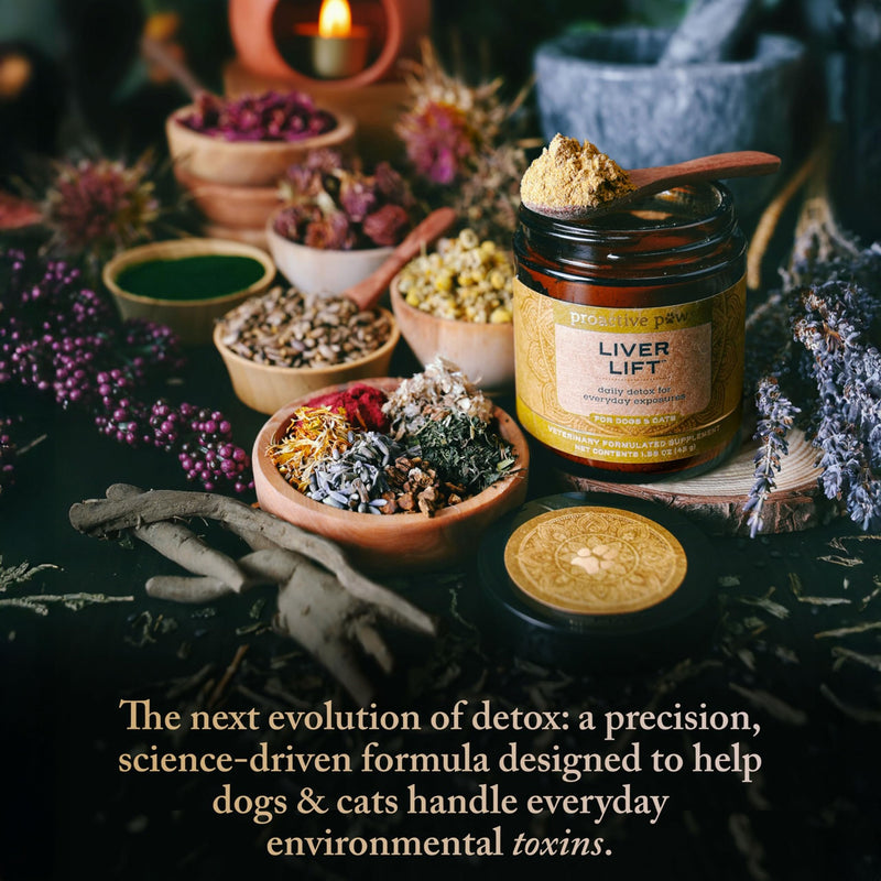 PROACTIVE PAWS Liver Lift – Daily Detox & Organ Support Supplement for Dogs & Cats, Supports Liver, Kidney, and Metabolic Health