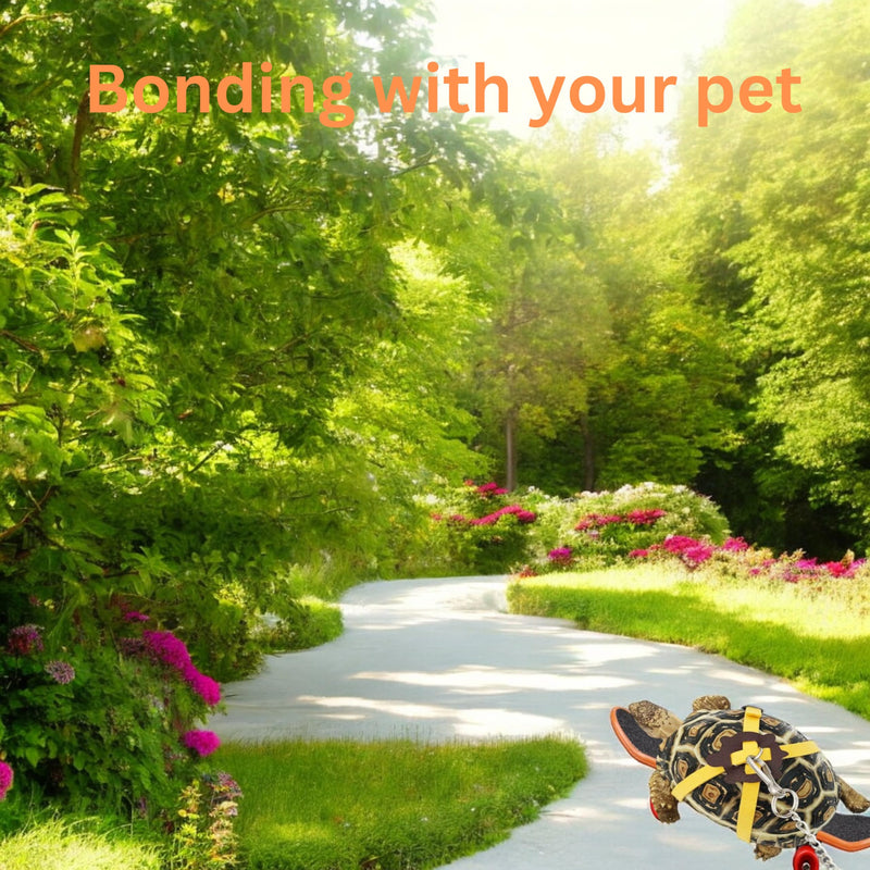 Adjustable Tortoise Leash and Funny Skateboard Set, Training Harness and Mini Skateboard for Turtle Dragon Bearded Lizard Small Pets, Pet Tortoise Toys, Accessories for Tortoises (Small) - BeesActive Australia