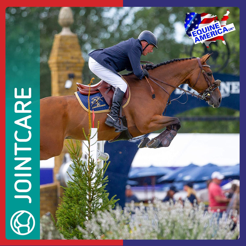 Equine America Cortaflex Regular Strength Powder | Premium Ready To Use Horse & Pony Supplement | Comprehensive Support For Joints & Mobility | 250g 250 g (Pack of 1)