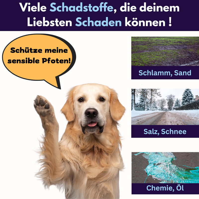 Goldthal®️ The original paw cleaner for dogs with microfiber glove, no more dirty paws for large or small paws large/large - BeesActive Australia