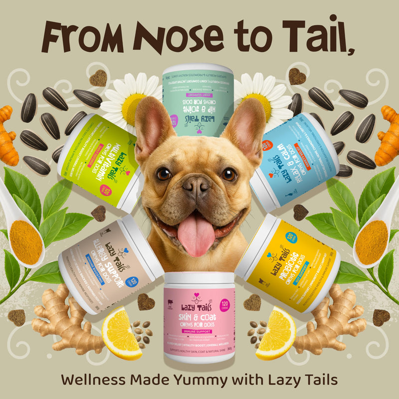 Skin & Coat Dogs Itchy Skin Chews for Dogs – 120 Soft Dog Chews – Helps Maintain Healthy Coat, Shine & Overall Skin Wellness – Natural Pork Flavor – Dog Treats for All Breeds & Sizes Skin & Coat