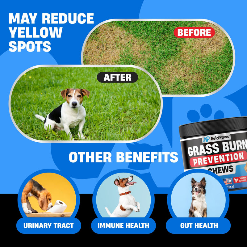 Dog Urine Neutralizer for Lawn - Green Grass Chews to Help Prevent Lawn Burn - Dog Pee Neutralizer & Grass Saver - Urinary & Bladder Support for All Breeds + Ages