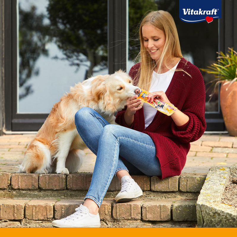 Vitakraft Beef Stick Quadros, dog treats grain-free, extra meaty, with cheese, to reward and pamper, without added sugar (1x 70g) 70 g (pack of 1) - BeesActive Australia