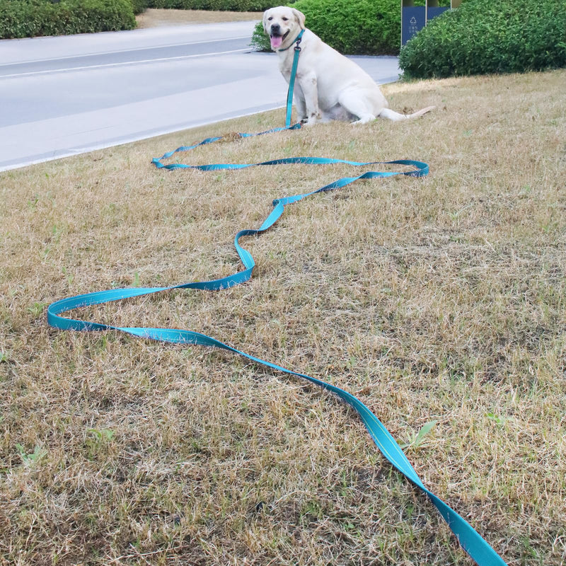 10FT Long Dog Leash with 2 Comfortable Soft Padded Handles Blue Reflective Heavy Duty Pet Dog Training and Walking Leashes Durable Dog Training Lead & Traffic Handle for Large Medium and Small Dogs 10FT - BeesActive Australia