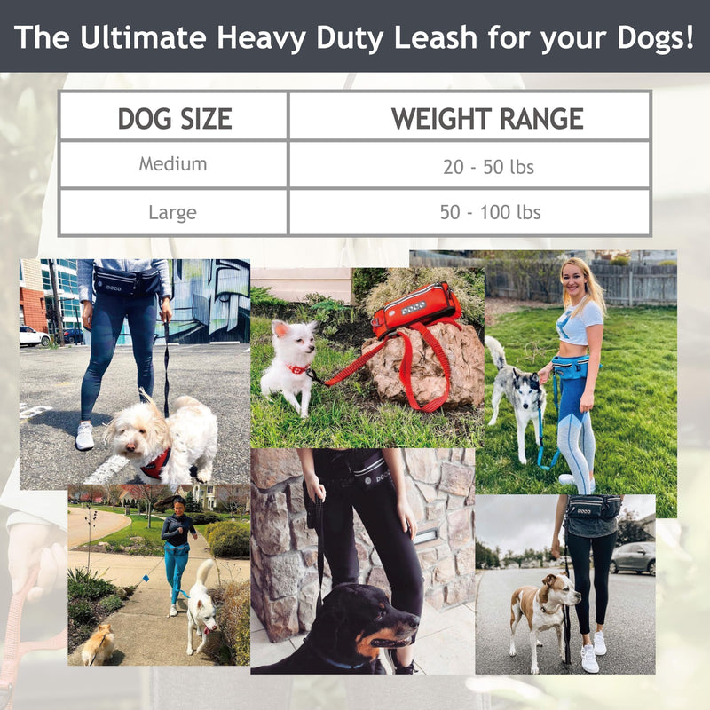 DOCO Hands Free Dog Leash (Waist 26”- 48”, Leash- 1”x 5ft) Waist Belt for Walking, Running & Hiking, Bungee with Dual Handles, Adjustable Fit, Reflective Safety Design for Large Dogs (Turquoise) Turquoise - BeesActive Australia