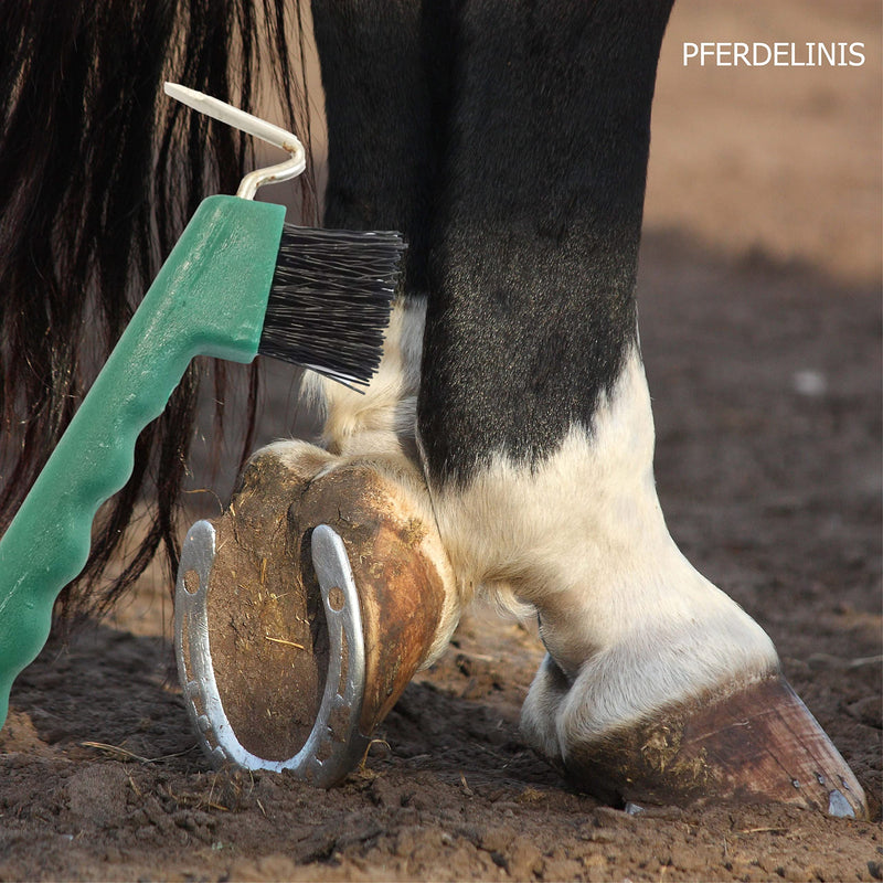 Hoof picker for horses, donkeys, goats hoof with extra sturdy brush and ergonomic handle (2x green) 2x green