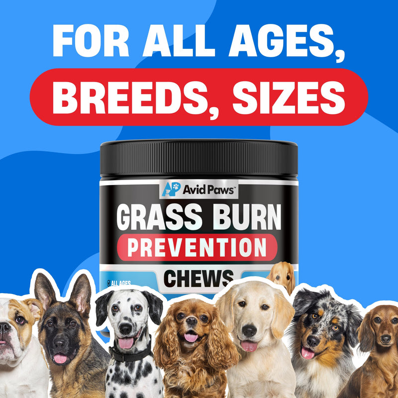 Dog Urine Neutralizer for Lawn - Green Grass Chews to Help Prevent Lawn Burn - Dog Pee Neutralizer & Grass Saver - Urinary & Bladder Support for All Breeds + Ages