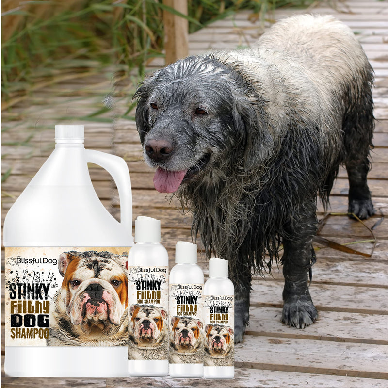 The Blissful Dog Stinky Filthy Dog Shampoo, 16 oz 16-Ounce - PawsPlanet Australia