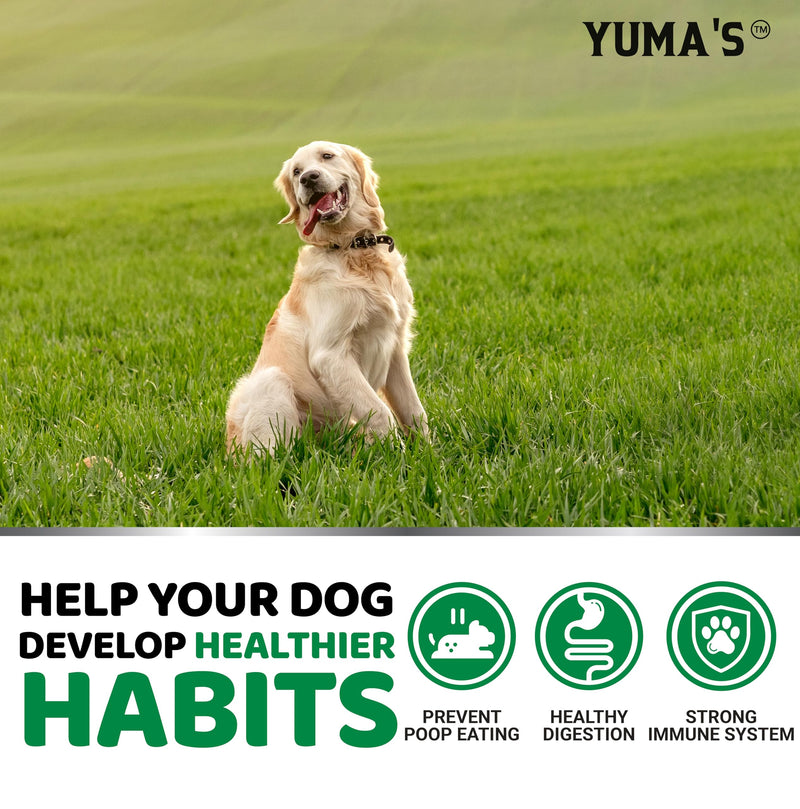 No Poo Chews for Dogs - Coprophagia No Poop Eating Deterrent for Dogs - Stop Eating Poop for Canine - Probiotics & Digestive Enzymes Supplement - Made in USA 170 Treats