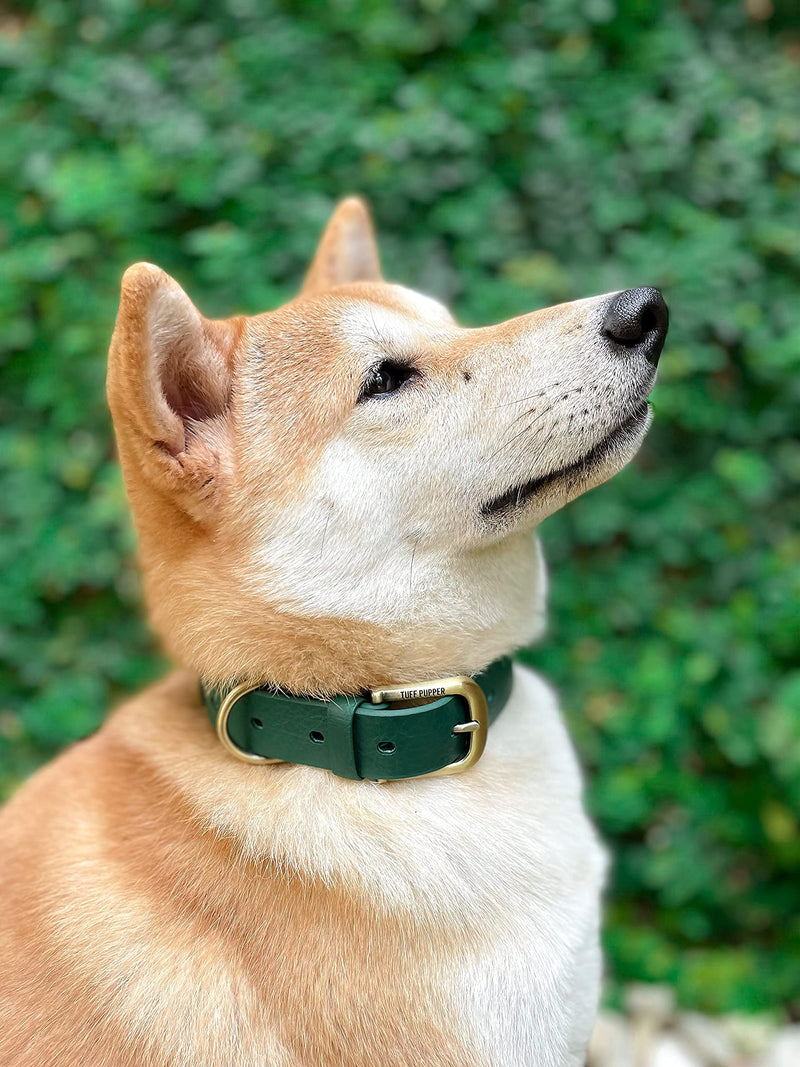 Tuff Pupper Classic Heavy Duty Dog Collar | 10x Stronger Than Leather | 100% Waterproof & Odor Proof Dog Collar | Tough Rust-Proof All Metal Hardware Medium (15-19" Neck) Forest Green Medium (15 - 19" Neck) - BeesActive Australia
