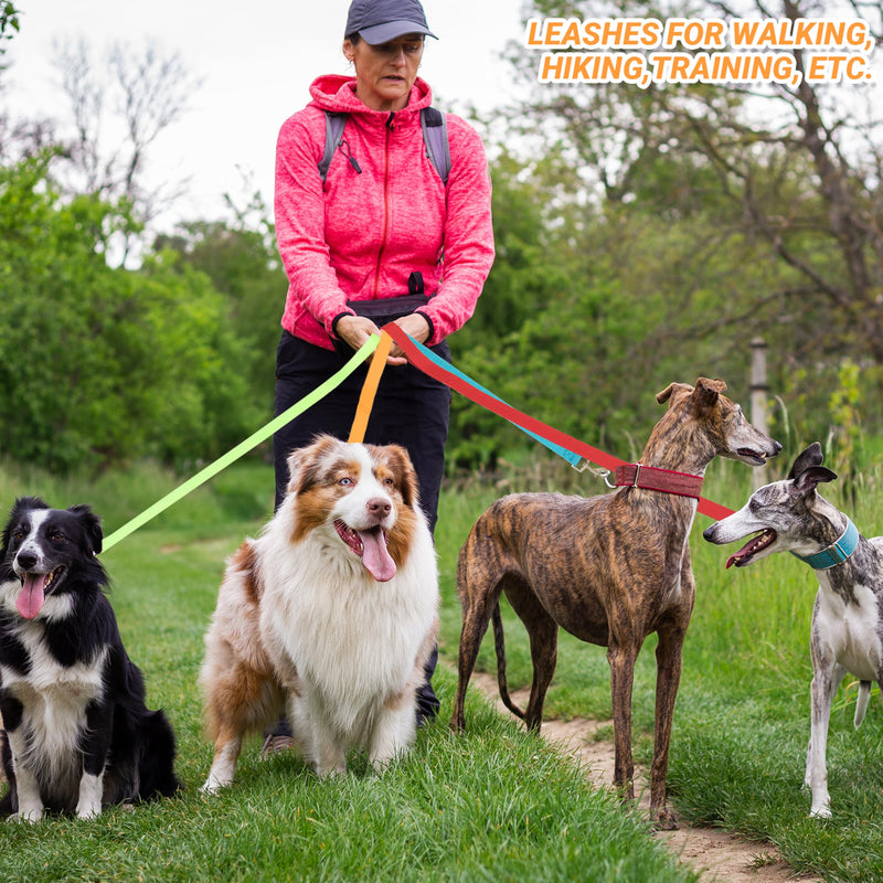 12 Pcs Dog Leashes for Small Medium Large Dogs, 6FT Lead Short Dog Leash with Swivel Hook for Walking, Training, Hiking, Rescues, Grooming, Shelter, Outdoor - BeesActive Australia