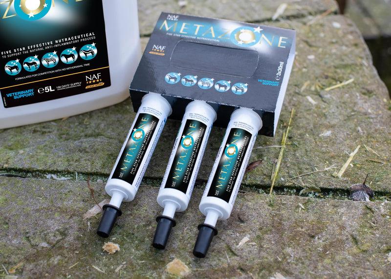 NAF Five Star Metazone Syringe 3 Pack – Targeted Support for the Bodies' Natural Anti-Inflammatory Processes– Ideal for Intense Work, Travel or Competition – Fast-Acting Paste Format