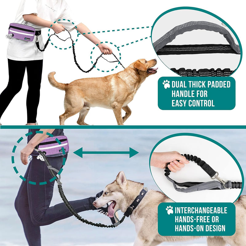 PetAmi Hands Free Dog Leash, Dog Running Leash Belt for Walking Jogging, Dog Waist Zipper Pouch Fanny Pack with Poop Bag Dispenser, Dual Padded Handle Bungee Leash for Small Medium Large Dogs, Double 2 Leashes Purple - BeesActive Australia