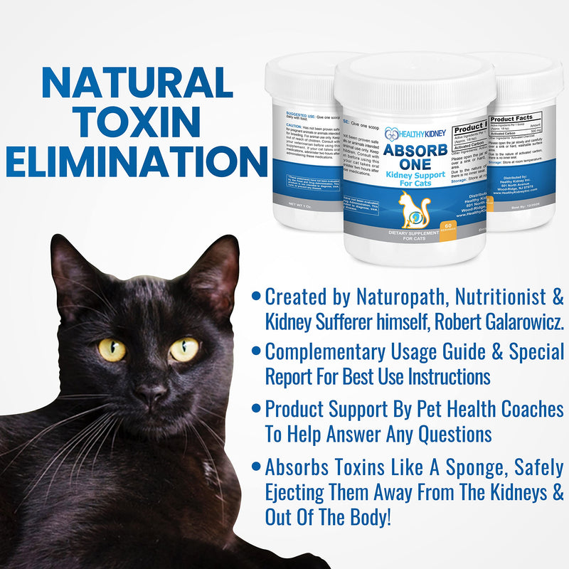Cat Kidney Support Supplement for Normal Kidney Function in Cats. Natural Feline Kidney Cleanse Take with Any Kidney Cat Diet Food. Vet-Formulated 1/8 TSP a Day 60 Servings: Absorb One