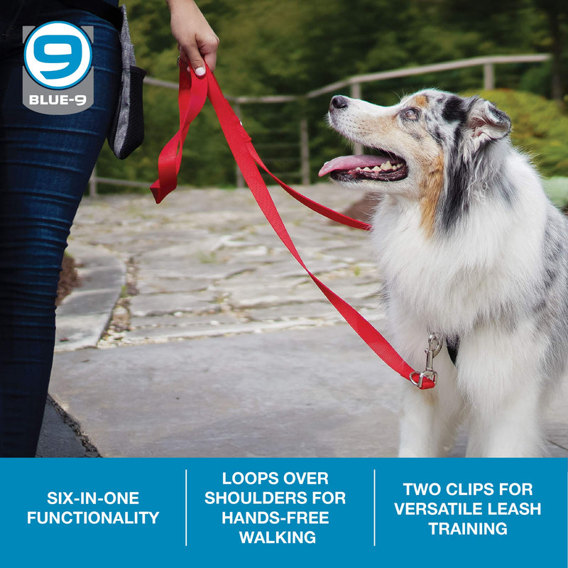Blue-9 Multi-Function Hands Free Dog Leash, Double Attachment 6 Foot Adjustable Lead for Obedience, Running, and Agility Training (Black, Small Medium) Black - BeesActive Australia