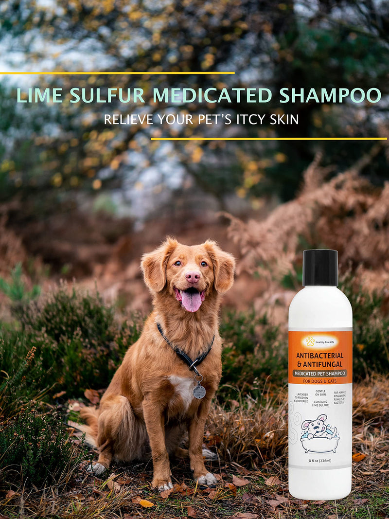 Classic's Lime Sulfur Pet Shampoo - Pet Care and Veterinary Solution for Itchy and Dry Skin - Safe for Dog, Cat, Puppy, Kitten, Horse - BeesActive Australia