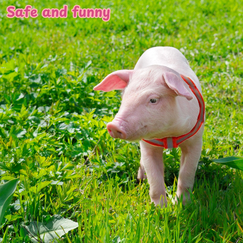 Miniature Pig Harness Leash with Christmas Scarf Set, Mini Pig Harness and Leash, Micro Pig Harness, Pigs Walking Harnesses and Leashes, Training Accessories for Small Hog Piggy Goats Dogs (Red, S) Red - BeesActive Australia