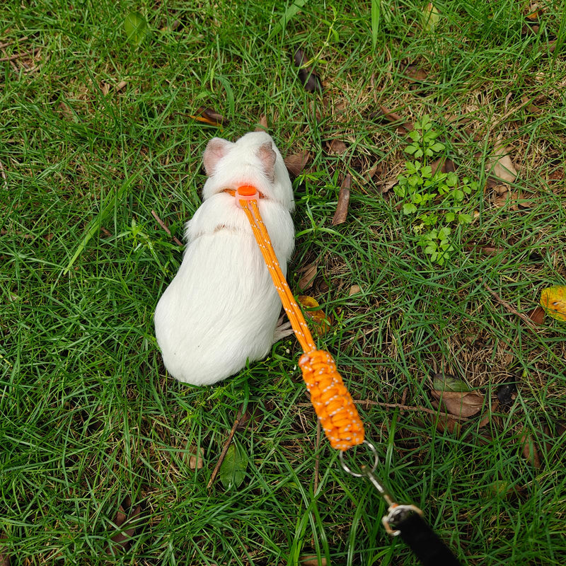 Handmade Figure 8 Harness and Leash for Ferrets/Bearded Dragons/Guinea Pigs/Rats/Chinchillas/Reptiles/Birds/Squirrels/Small Animals Pets up to 15lb Blue+Pink - BeesActive Australia