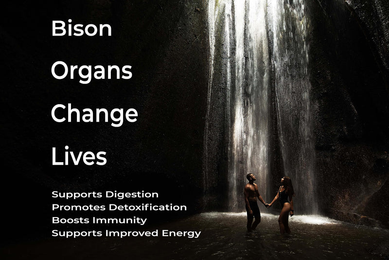 Grass Fed Bison Organ Supplement, Supports Whole Body Wellness with Proprietary Blend of Liver, Heart, Kidney, Freeze-Dried Bison, Non-GMO, 180 Capsules
