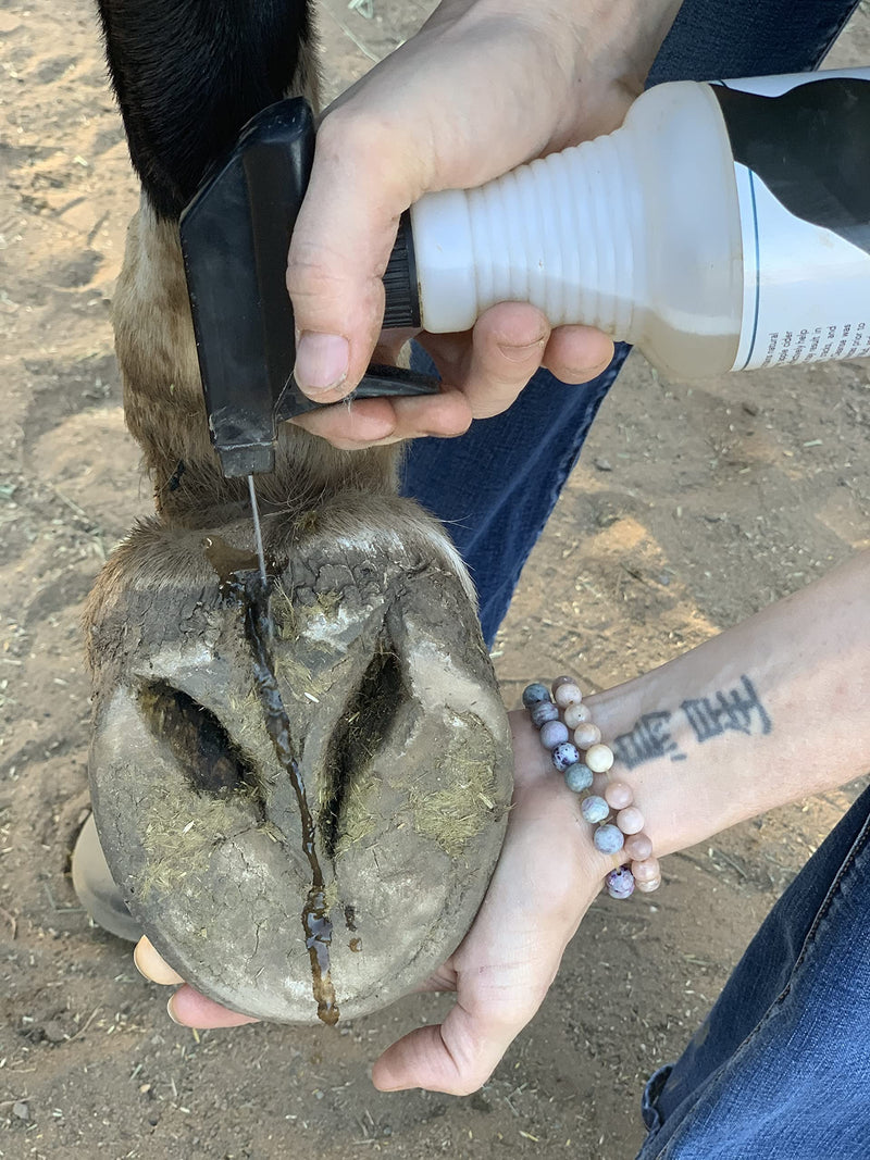 Horse Hoof Cleaner, Thrush and White Line Treatment for Horses, Hoof Cleanse, All Natural Horse Hoof Care Products to Maintain A Healthy Hoof 32oz refill - BeesActive Australia