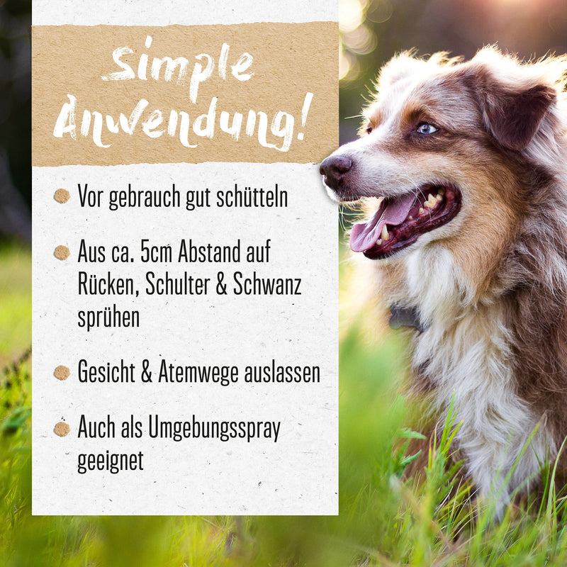 alphazoo Abgegrast I Grass mite spray for dogs and cats 100 ml I Natural oils, gentle on the skin I Fight grass mites, relieve animal itching 100 ml - BeesActive Australia