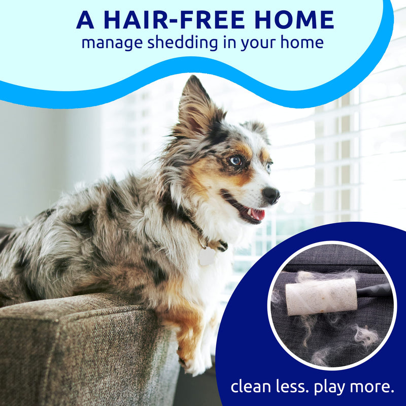 Pat Your Pet Deshedding Brush - Double-Sided Undercoat Rake for Dogs & Cats - Shedding Comb and Dematting Tool for Grooming, Extra Wide Blue - BeesActive Australia