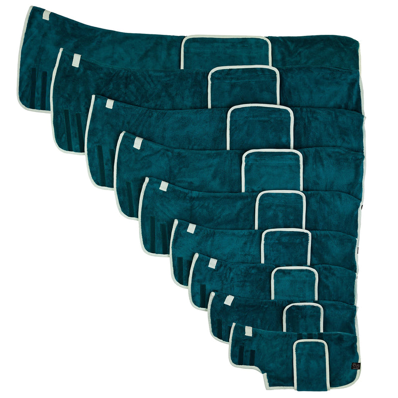 Lucky Paws® dog bathrobe - double-layer dog bathrobe - dry faster in minutes, absorbent dog towel & soft dog bathrobe in 1 - luxury dog towel bathrobe (L, Teal) L - BeesActive Australia