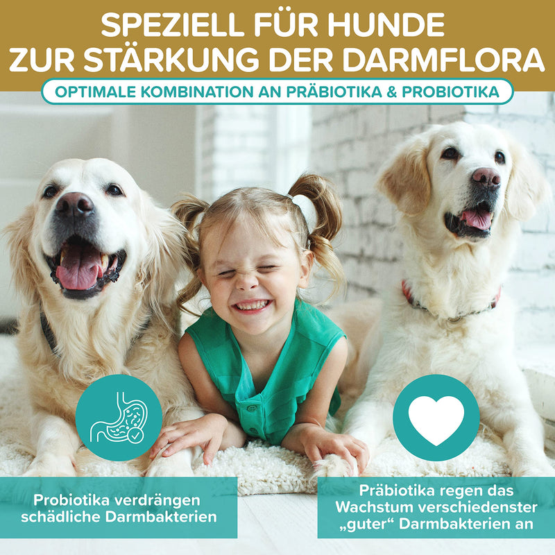 Probiotics intestinal cleansing for dogs - premium quality made in Germany - probiotics for dogs - 120 tablets for improved digestion and immune system - building dog intestinal flora with Natureflow Pets - BeesActive Australia