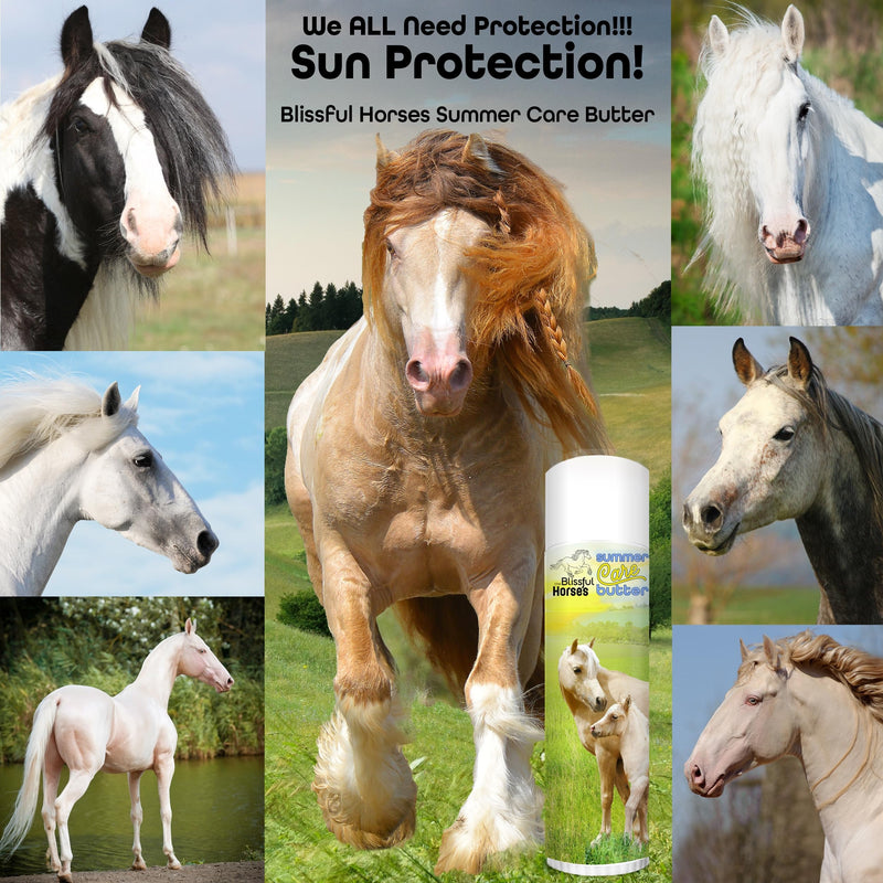 The Blissful Horses Summer Care Sun Butter, Gentle Horse Sunscreen, Easy-to-Apply Equine Sunblock Solution, Must-Have Horse Essentials for All Day Sun Protection, 4 oz. 4-Ounce - BeesActive Australia